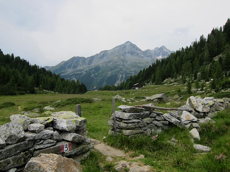 gelttalspitze